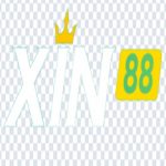xin88