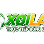 Xoilacvct vct