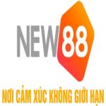 Nhà Cái NEW88