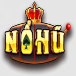 nohuwin vin