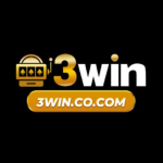3Wincocom