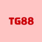 Tg888bb com