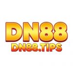 Dn88 Tips
