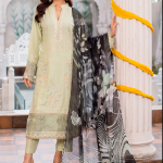 Pakistani Plus Size Dresses