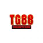 Nhà cái TG88