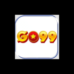 codego99 com