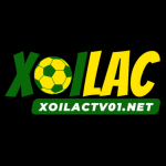 Xoilac TV01NET