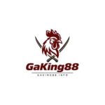 GaKing88 dot Info