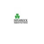 Shamrock HVAC Services