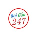 Soi Cầu 247 Rồng Bạch Kim