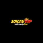 Soi Cầu VIP