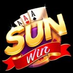 SUNWIN NASCHIP ORG NASCHIP ORG