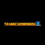 Trang cá độ bóng đá