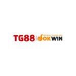 Tg88vn1 club