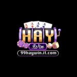 99haywin it com