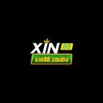 xin88 studio