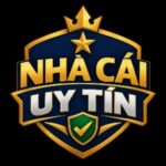 topnhacaiuytin net