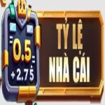 Tỷ Lệ Nhà Cái