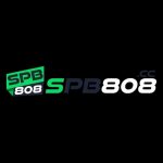 SPB808 Portal game