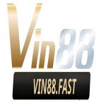 VIN88