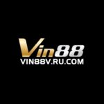 Vin88v ru com