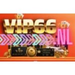 VIP 66