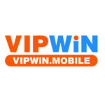 vipwin mobile