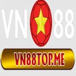 VN88