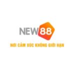 NEW88 nhà cái