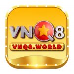 VNQ8 World