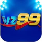 VZ99 bike