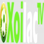 xoilactvnvz.cc thao túng kết quả tìm kiếm