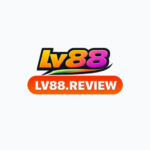 LV88